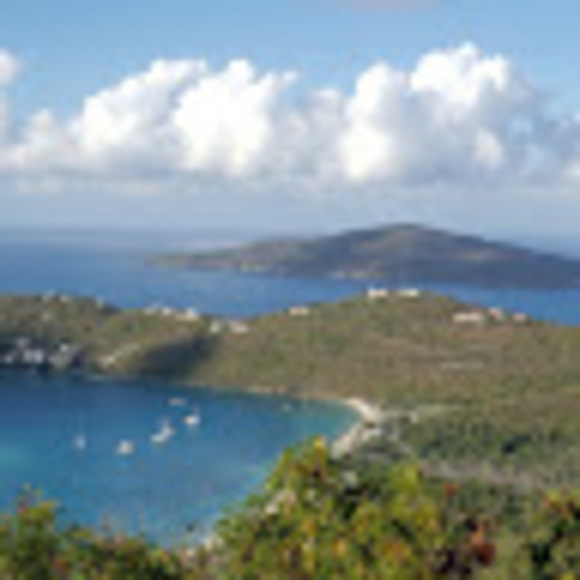 Meet your Posher, Danielle - Picture 1 of 1